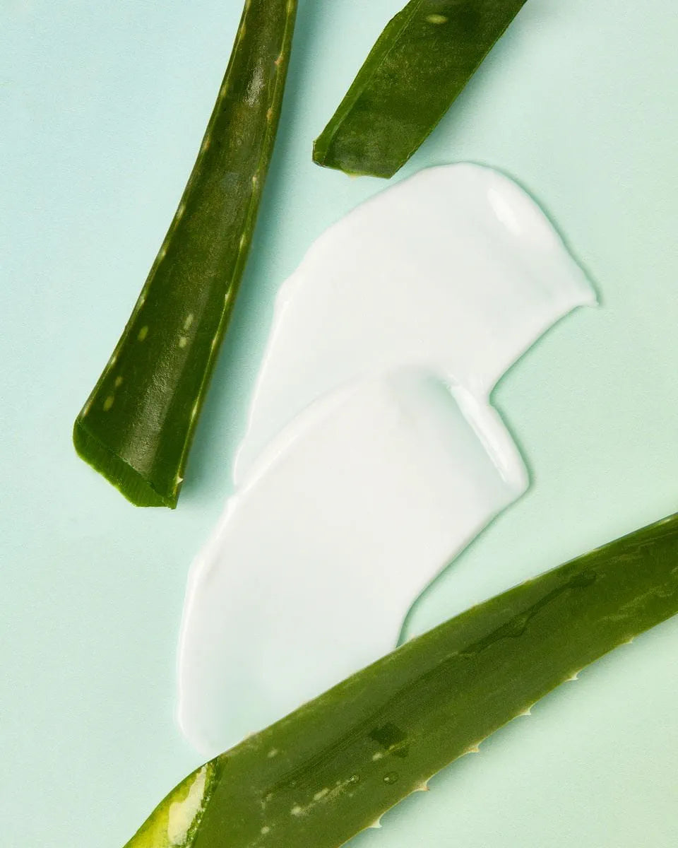 Skin By N Cosmetics Elevates Body Care with Aloe-Infused Skincare Essentials